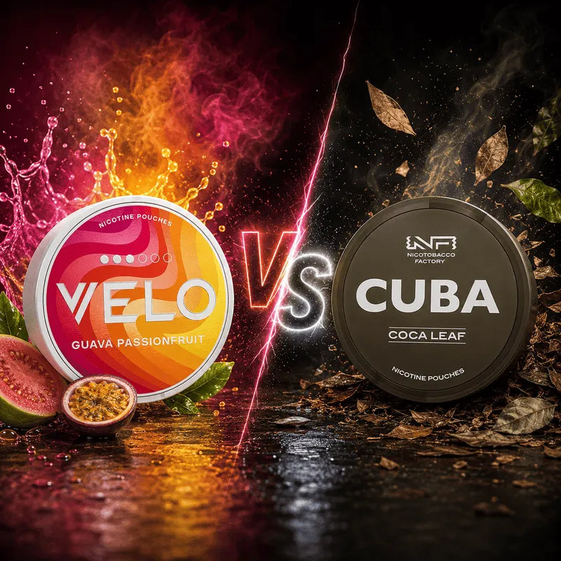 VELO Guava Passionfruit All-White Nicotine Pouches Dose bei Dampfwelt