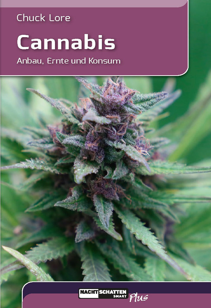 Cannabis - Lore Chuck (2024)