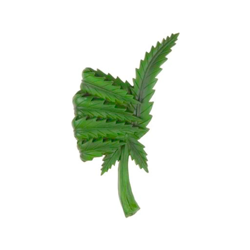 Leaf Magnet - Cool Sign