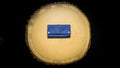 Kavatza - Tabaktasche TPJ36 'Jeans'