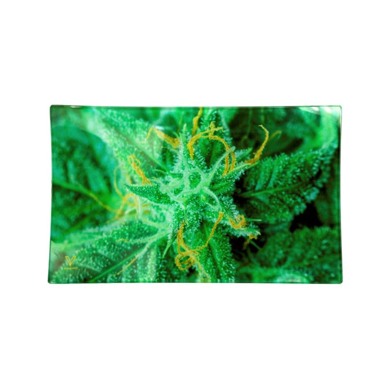 Glass Rolling Tray - AK 47 (26cm x 16cm)