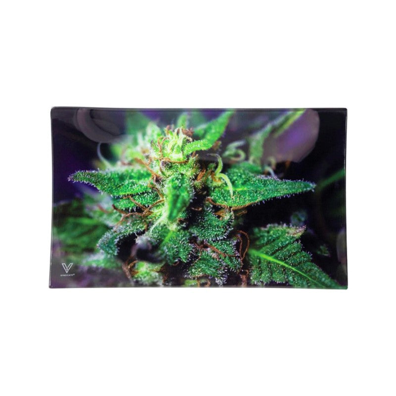 Glass Rolling Tray - Blue Dank (26cm x 16cm)