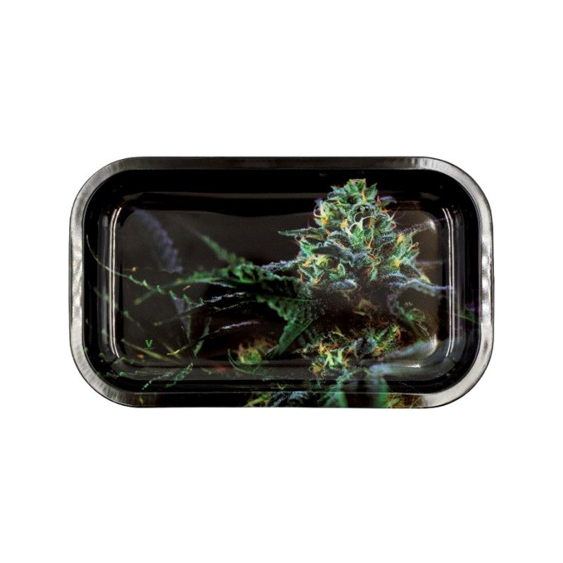 Rolling Tray - Strain OG Kush (27cm x 16cm)