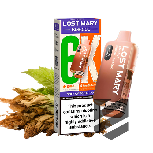 Lost Mary BM6000 Prefilled Pod Kit – Snoow Tobacco - Vape Kit