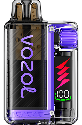 VOZOL - Vista Plug Starter Kit - 20mg/ml - Blackberry Ice