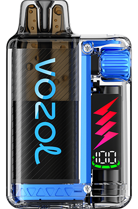 VOZOL - Vista Plug Starter Kit - 20mg/ml - Blueberry Ice
