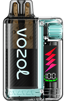 VOZOL - Vista Plug Starter Kit - 20mg/ml - Fresh Mint