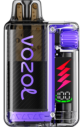 VOZOL - Vista Plug Starter Kit - 20mg/ml - Grape Ice