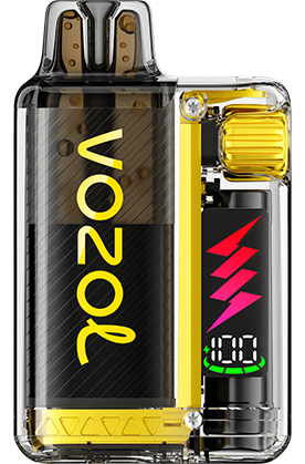 VOZOL - Vista Plug Starter Kit - 20mg/ml - Mango Ice