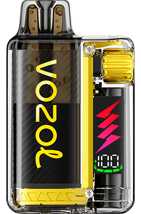 VOZOL - Vista Plug Starter Kit - 20mg/ml - Pineapple Lemon