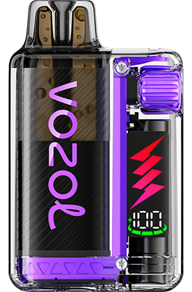 VOZOL - Vista Plug Starter Kit - 20mg/ml - Pink Lemonade