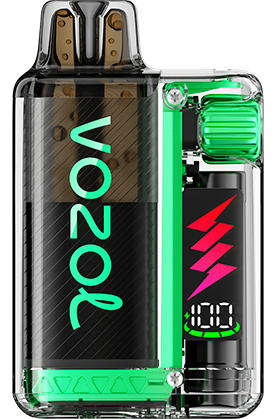 VOZOL - Vista Plug Starter Kit - 20mg/ml - Watermelon Ice