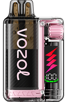 VOZOL - Vista Plug Starter Kit - 20mg/ml - Apple Peach