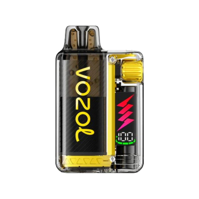 VOZOL  Vista Plug